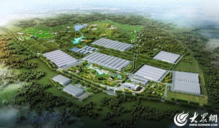 臨朐中新振榮：智慧畜牧賦能生態(tài)農(nóng)業(yè)發(fā)展實踐:生態(tài)農(nóng)業(yè)
